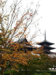 PB110249shuusei.JPG