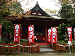 PB110264shuusei.JPG