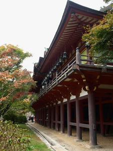 PB110268shuusei.JPG