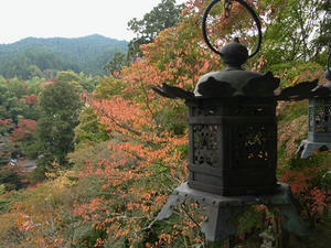 PB110287shuusei.JPG