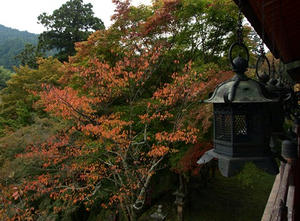 PB110291shuusei.JPG