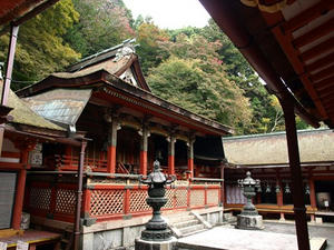PB110293shuusei.JPG