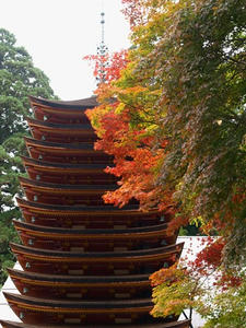 PB110276shuusei.JPG