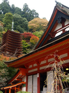PB110302shuusei.JPG