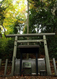 PB110320shuusei.JPG