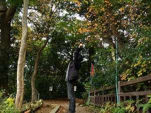PB110330shuusei.JPG