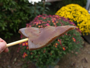 PB110344shuusei.JPG