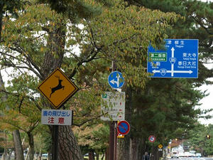 PB110363shuusei.JPG