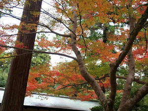 PB110412shuusei.JPG