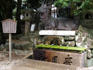 PB110414shuusei.JPG