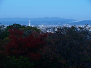 PB120484shuusei.JPG