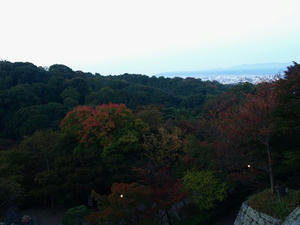 PB120490shuusei.JPG