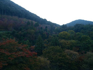 PB120492shuusei.JPG