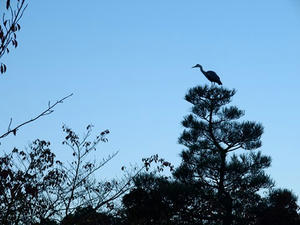 PB120544shuusei.JPG
