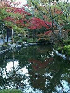 PB120534shuusei.JPG