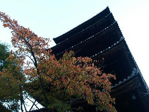 PB120572shuusei.JPG