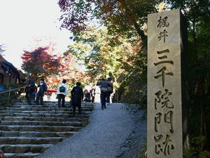PB120756shuusei.JPG