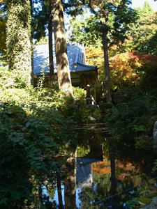 PB120796shuusei.JPG