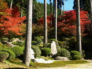 PB120853shuusei.JPG
