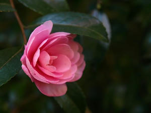 PB120877shuusei.JPG