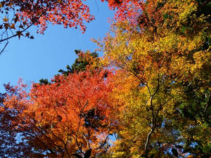 PB120874shuusei.JPG