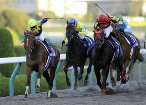 20081207-00000515-sanspo-horse-view-000.jpg