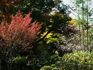 PB120933shuusei.JPG