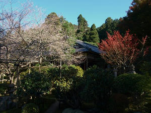 PB120954shuusei.JPG