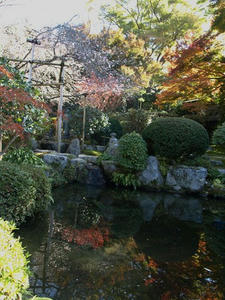 PB120953shuusei.JPG