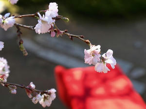 PB120960shuusei.JPG