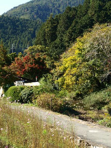 PB120965shuusei.JPG