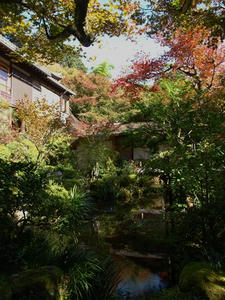 PB120979shuusei.JPG
