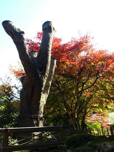 PB120992shuusei.JPG