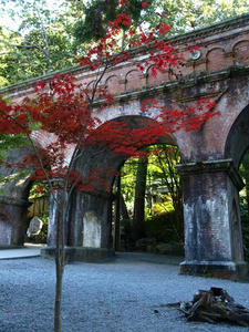 PB121040shuusei.JPG