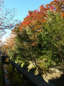 PB121090shuusei.JPG