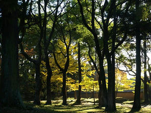 PB131147shuusei.JPG