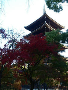 PB131148shuusei.JPG