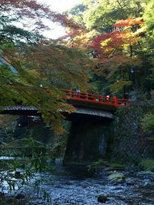 PB131173shuusei.JPG