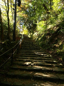 PB131182shuusei.JPG