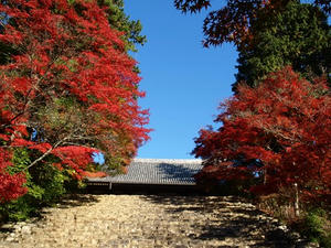 PB131218shuusei.JPG