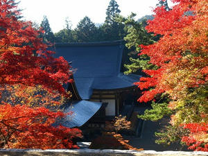 PB131224shuusei.JPG