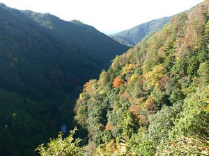 PB131245shuusei.JPG