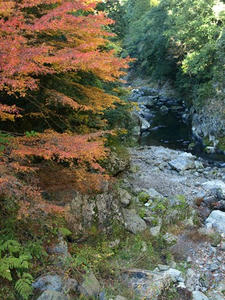 PB131271shuusei.JPG