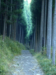 PB131289shuusei.JPG