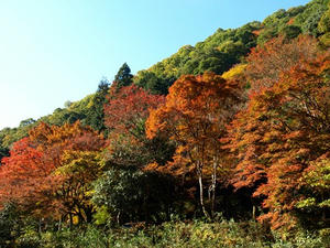 PB131313shuusei.JPG