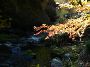 PB131351shuusei.JPG