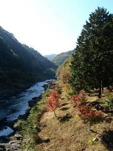 PB131367shuusei.JPG