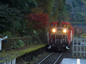 PB131381shuusei.JPG