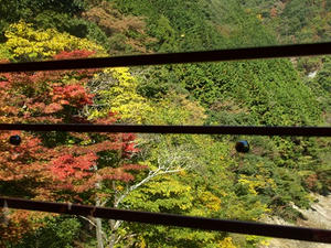 PB131386shuusei.JPG