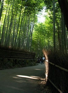 PB131436shuusei.JPG
